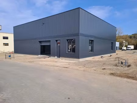 location local d'activités neuville sur saone 69250