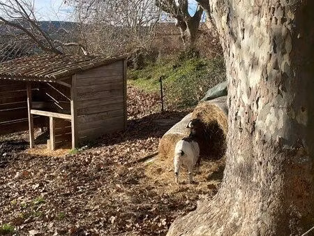 recherche maison avec jardin