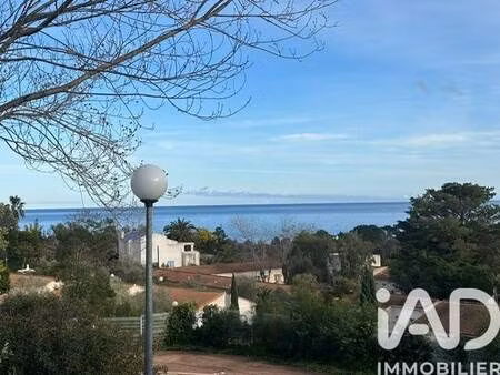 iad france tonia rotondo