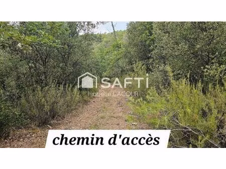 terraine en zone boisée