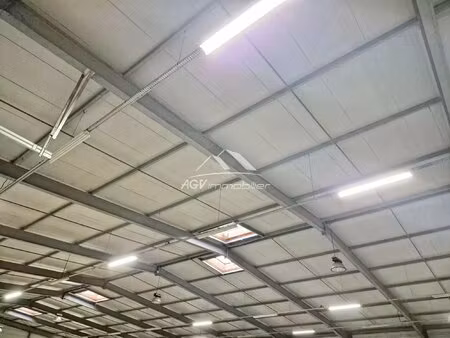 local professionnel 2200 m² sur 11000 m² de terrain