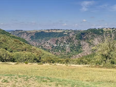 achat maison 14 pièces 287m² previnquieres 12350