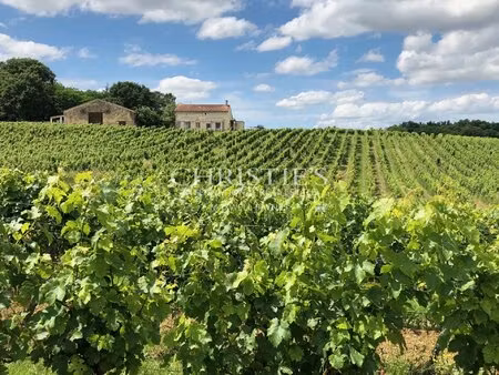 hobby vineyard estate - wine tourism - near bordeaux with id 3586731251