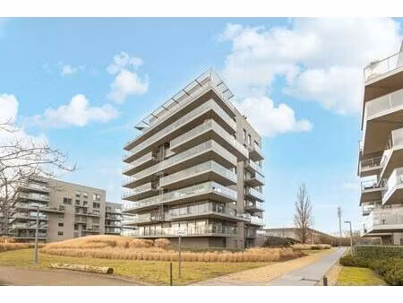 appartement te koop in antwerpen