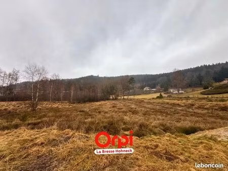 terrain 4 185 m² le tholy