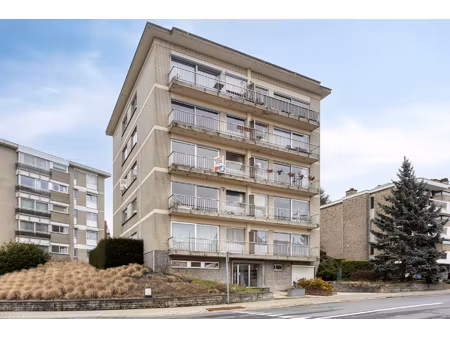 appartement te koop in dilbeek met 3 slaapkamers