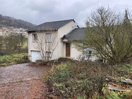 achat maison 4 pièces 90m² chavigny 54230