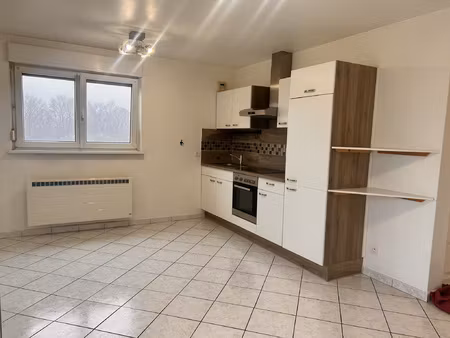 location appartement 2 pièces 54m² leutenheim 67480