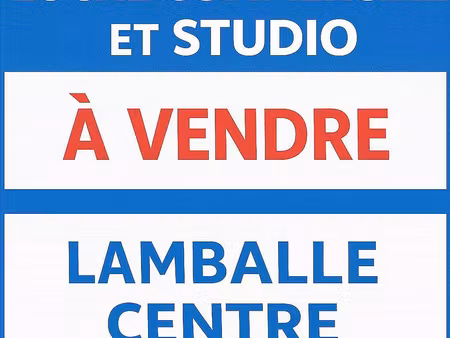 vente commerce 80 m² lamballe-armor (22400)