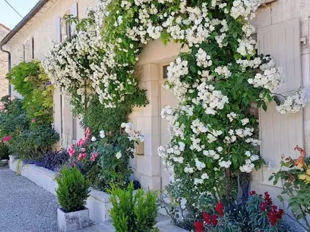 vente maison 7 pièces 210 m² à merignac (16200)  299 000 €