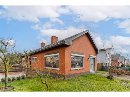 huis te koop in beerse met 3 slaapkamers