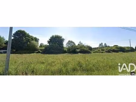 vente terrain à romorantin-lanthenay (41200) : à vendre / 1008m² romorantin-lanthenay