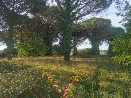 vente terrain 1080 m² saint-maixant (33490)