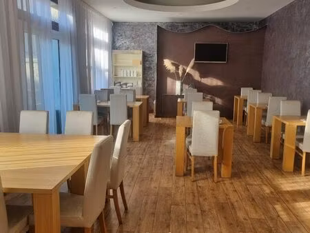 vente local commercial 4 pièces 375m2 montlouis-sur-loire 37270 - 1951200 € - surface priv