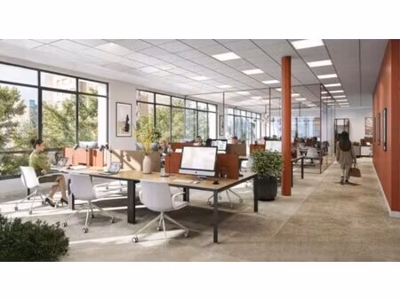 location local professionnel 343m²