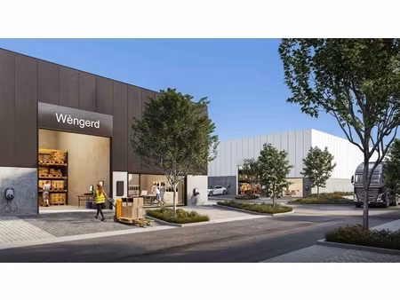 commercieel te koop in riemst