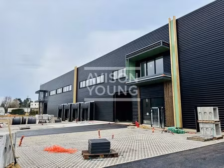 local d'activite a louer