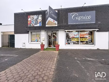 vente bureaux et commerces à nazelles-négron (37530) : à vendre / 300m² nazelles-négron