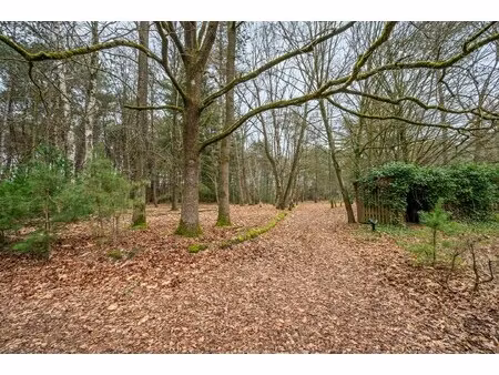 huis te koop in geel