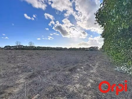 vente terrain 15490 m² lunel (34400)