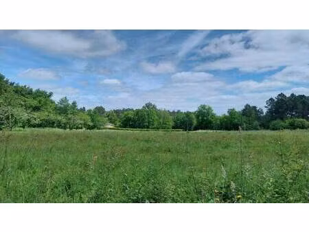 terrain constructible à vendre