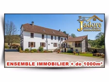 en vente immeuble de rapport 1 003 m² – 244 000 € |plainfaing