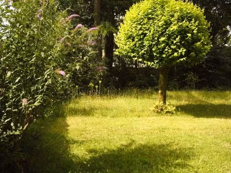 location appartement 1 pièce 24 m² à nantes (44000)