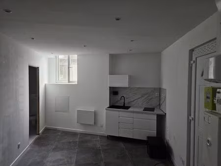 location appartement 1 pièce 35 m² à saint-étienne (42000)