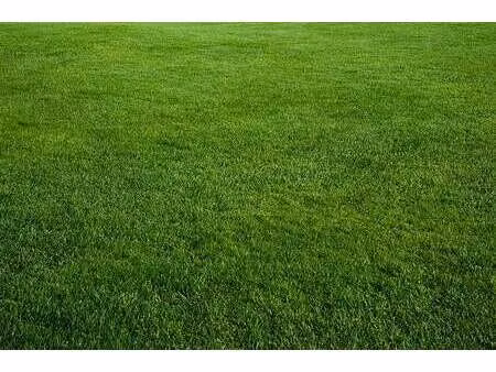 vente terrain à penmarch (29760) : à vendre / penmarch