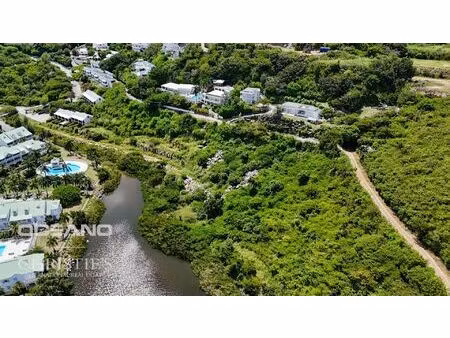 vente terrain 9101 m² francueil (37150)