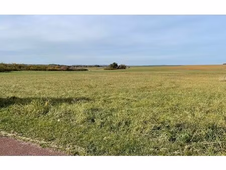 terrain dommary-baroncourt m² t- à vendre  48 000 €