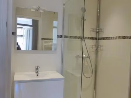 location appartement 2 pièces 35 m² à lyon 7 (69007)