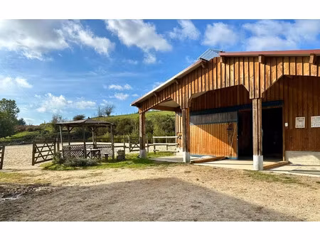 vente propriété 5 pièces 180 m² à arconsat (63250)  549 000 €