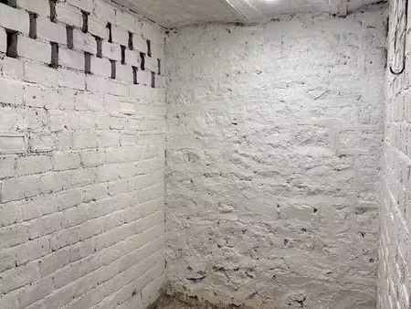 cave saine 4 15m2 / 9 6m3  paris 75012  quartier bd-diderot/av-daumesnil/r-de-lyon