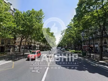 boutique 50 m² paris