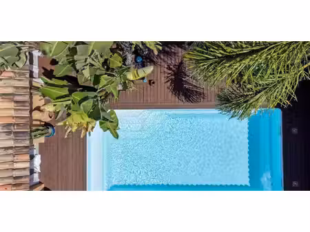 maison avec piscine porticcio (2a)