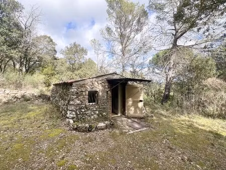 cabanon sur 10 561 m² de terrain