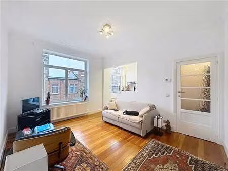 pétillon  lumineux appartement 1 chambre