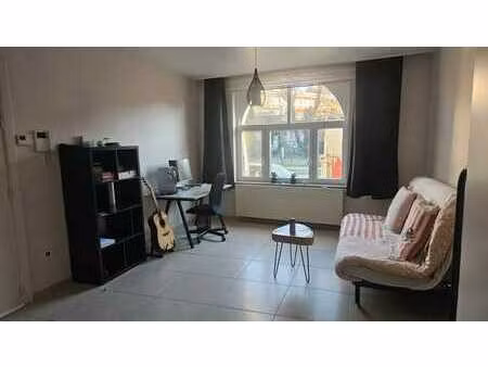 lumineux studio rénové - quartier globe