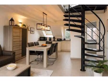 prachtige duplex met loftgevoel en ruim zonneterras