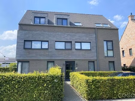 appartement te huur in brecht met 3 slaapkamers