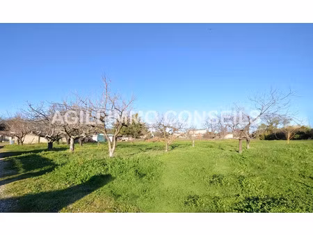 vente terrain 544 m² à puget-sur-argens (83480)  173 300 €