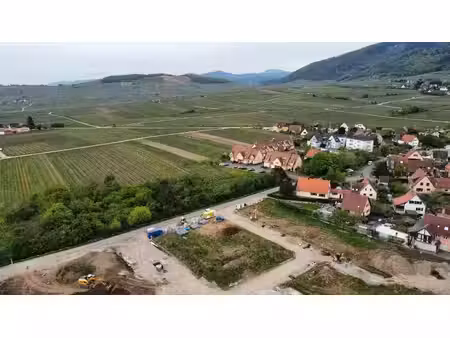 vente programme neuf t4 110 à 112 m² riquewihr (68340)