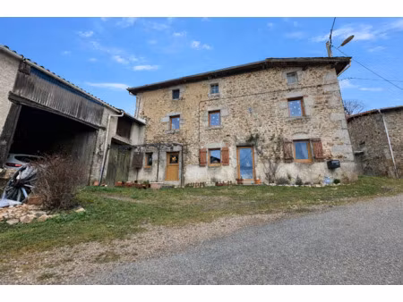 charmante maison en pierre rénovée avec dépendances