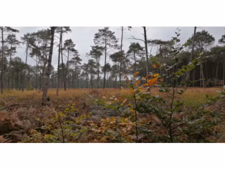 vente terrain au gâvre (44130) : à vendre / le gâvre