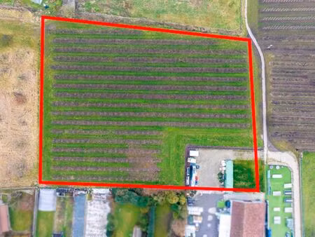 terrain à vendre à sint-truiden € 80.000 (ll484) - delta notarissen | zimmo
