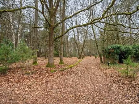 maison à vendre à geel € 749.000 (ll3zc) - hillewaere mol | zimmo