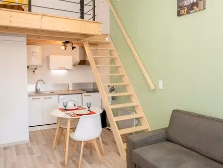 grand studio meublé centre-ville