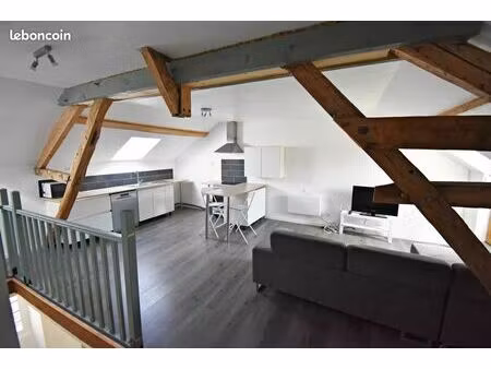 appartement duplex meublé 2 ch t3 90 m2