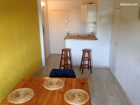 appartement lyon 30 m2